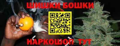 стаф Бузулук
