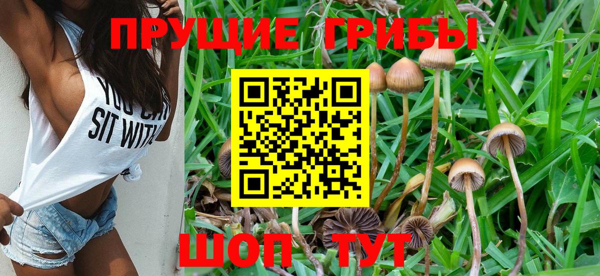 Псилоцибиновые грибы GOLDEN TEACHER Троицк