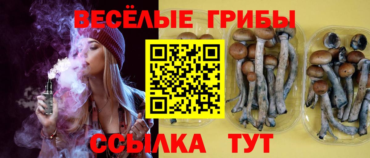 Псилоцибиновые грибы Psilocybe  Вход с VPN  Троицк 
